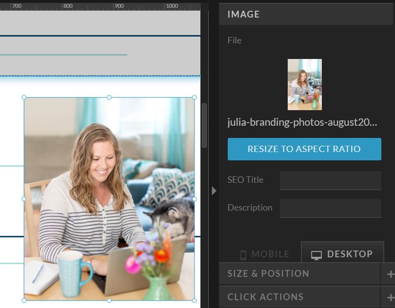 Screenshot of image in Showit to add image alt tag